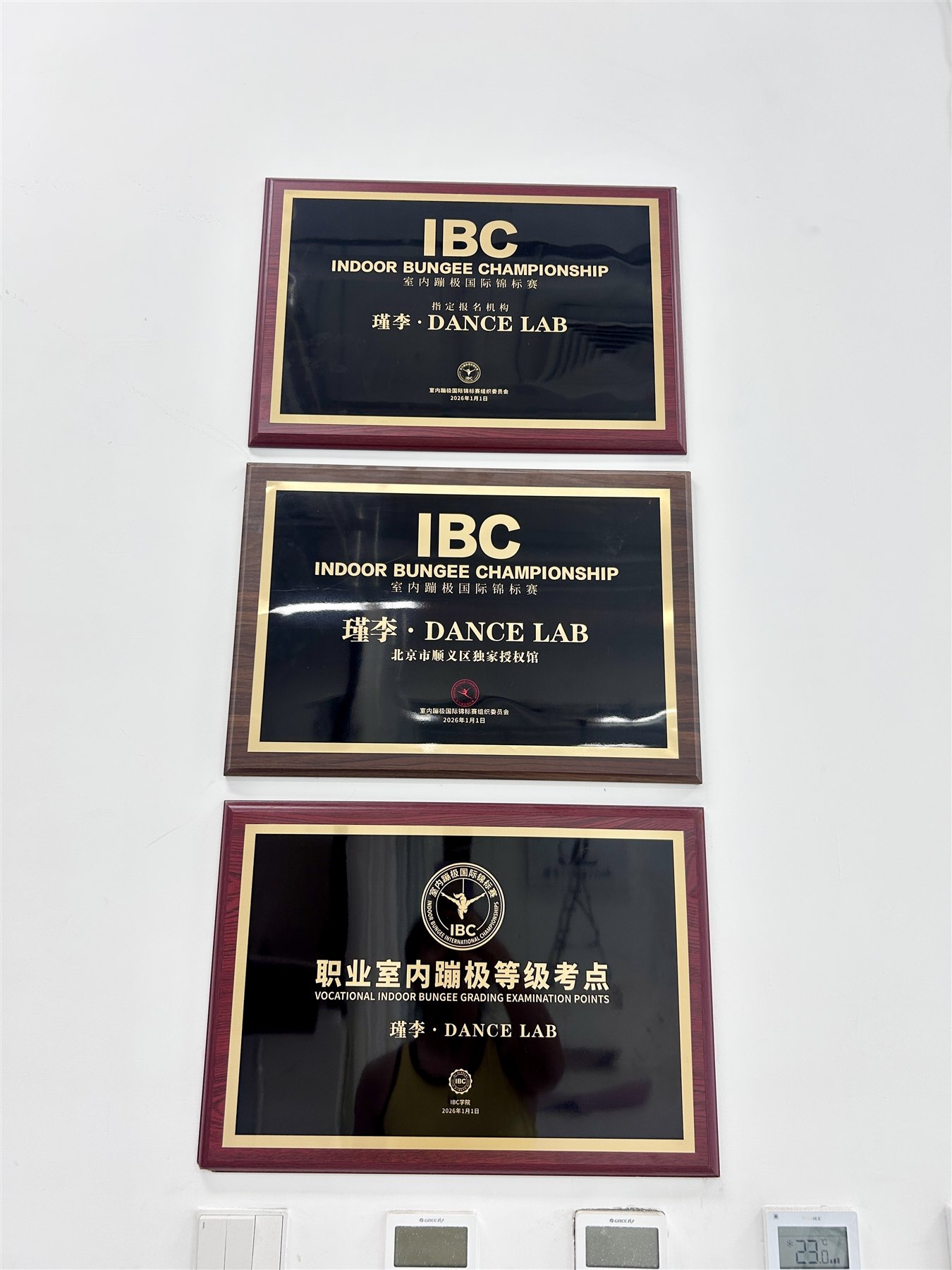 瑾李·DANCE LAB IBC授权与考点牌匾